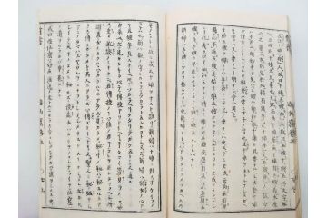 明治　頭書図画　遊仙窟鈔　松山堂書店発行　上・下2冊セット(和本、張文成、全5巻)(R-075952)