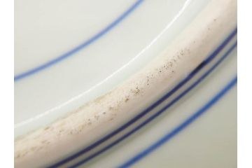 江戸〜明治　古伊万里　染付　約40cm　1尺3寸　迫力のある珍しい柄が目を惹く大皿(鳥、和皿、和食器、一尺三寸)(R-075956)