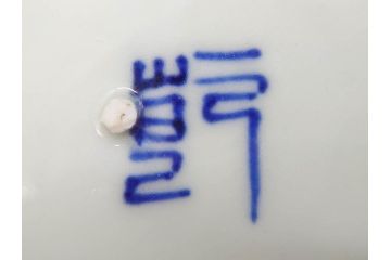 江戸〜明治　古伊万里　染付　約40cm　1尺3寸　迫力のある珍しい柄が目を惹く大皿(鳥、和皿、和食器、一尺三寸)(R-075956)