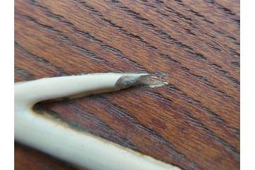 在銘　金城一国斎作　高盛絵　栗材　花に蜂図　職人による繊細な技法が素敵なお盆(作家物、漆芸、木製、楕円、オーバル、トレー、トレイ、伝統工芸品)(R-075959)
