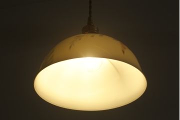 アンティーク照明　オールドノリタケ・則武(日陶)　優しい色合いの植物模様が魅力の電笠(天井照明、シェード、ペンダントライト、吊り下げ照明)(R-075971)