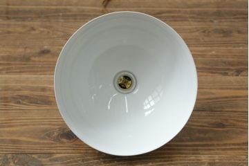 アンティーク照明　オールドノリタケ・則武(日陶)　優しい色合いの植物模様が魅力の電笠(天井照明、シェード、ペンダントライト、吊り下げ照明)(R-075971)