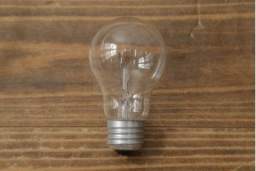 アンティーク照明　オールドノリタケ・則武(日陶)　優しい色合いの植物模様が魅力の電笠(天井照明、シェード、ペンダントライト、吊り下げ照明)(R-075971)