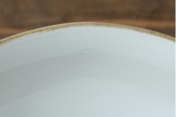 アンティーク照明　オールドノリタケ・則武(日陶)　レトロで可愛らしい図柄の電笠(天井照明、シェード、ペンダントライト、吊り下げ照明)(R-075972)