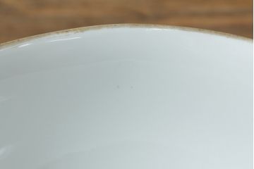 アンティーク照明　オールドノリタケ・則武(日陶)　レトロで可愛らしい図柄の電笠(天井照明、シェード、ペンダントライト、吊り下げ照明)(R-075972)