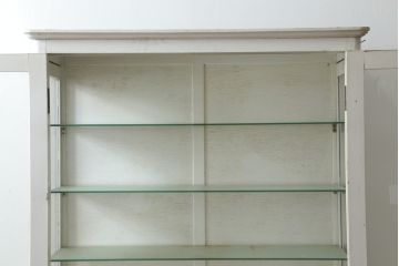 和製アンティーク　シャビーシックな雰囲気が魅力のケビントガラスケース(ショーケース、飾り棚、陳列棚、収納棚、戸棚、デンタルケース、デンタルキャビネット)(R-075977)