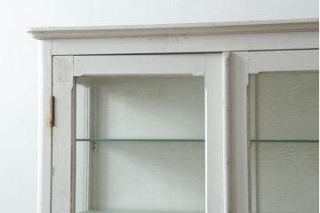 和製アンティーク　シャビーシックな雰囲気が魅力のケビントガラスケース(ショーケース、飾り棚、陳列棚、収納棚、戸棚、デンタルケース、デンタルキャビネット)(R-075977)