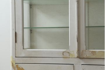 和製アンティーク　シャビーシックな雰囲気が魅力のケビントガラスケース(ショーケース、飾り棚、陳列棚、収納棚、戸棚、デンタルケース、デンタルキャビネット)(R-075977)
