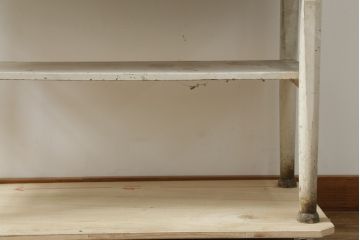 和製アンティーク　シャビーシックな雰囲気が魅力のケビントガラスケース(ショーケース、飾り棚、陳列棚、収納棚、戸棚、デンタルケース、デンタルキャビネット)(R-075977)