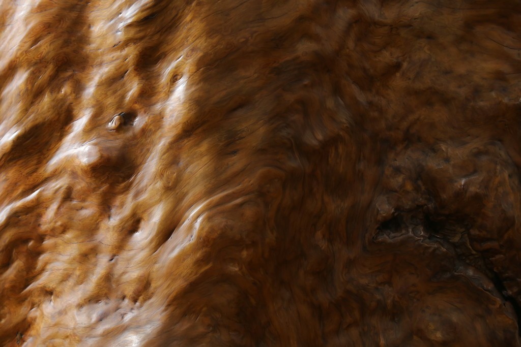 中古　特大!!　漆塗り　木の質感そのままで存在感抜群!屋久杉材の衝立て　定価約400万円　(R-075989)