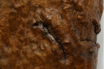 中古　特大!!　漆塗り　木の質感そのままで存在感抜群!屋久杉材の衝立て　定価約400万円　(R-075989)