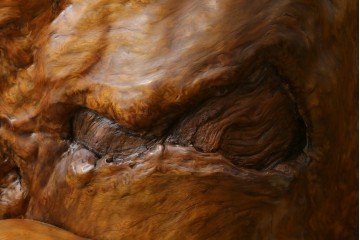 中古　特大!!　漆塗り　木の質感そのままで存在感抜群!屋久杉材の衝立て　定価約400万円　(R-075989)