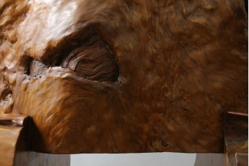 中古　特大!!　漆塗り　木の質感そのままで存在感抜群!屋久杉材の衝立て　定価約400万円　(R-075989)