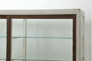 和製アンティーク　ペイント仕上げがお洒落な脚付きGケース(ガラスケース、ショーケース、ディスプレイケース、コレクションケース、飾り棚、陳列棚、店舗什器)(R-076235)