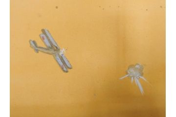 激レア!　戦前　当時物　杉浦非水　ポスター　科学の力に魂の叫び　軍　ミリタリー(1927年、昭和2年)(R-076300)