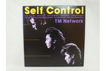 BOOWY　布袋寅泰　氷室京介　TM Network　Self Control　BEST EMOTION　GUITARHYTHMなど　レコード7枚セット(LP、ボウイ、HIMURO KYOSUKE、FLOWERS for ALGERNON、LAST GIGS、PSYCHOPATH、MORAL+3)(R-076721)