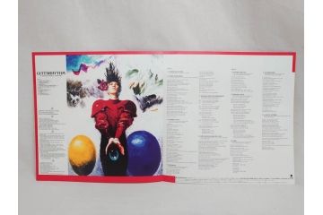 BOOWY　布袋寅泰　氷室京介　TM Network　Self Control　BEST EMOTION　GUITARHYTHMなど　レコード7枚セット(LP、ボウイ、HIMURO KYOSUKE、FLOWERS for ALGERNON、LAST GIGS、PSYCHOPATH、MORAL+3)(R-076721)