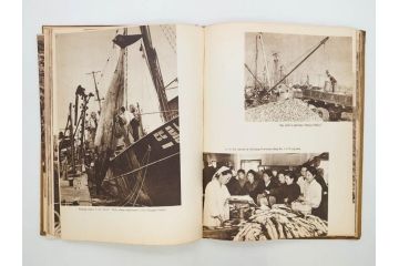 稀少　DEMOCRATIC PEOPLE'S REPUBLIC OF KOREA　1958　北朝鮮　歴史写真集(英字、英語、朝鮮民主主義人民共和国、写真帳、古本)(R-076724)