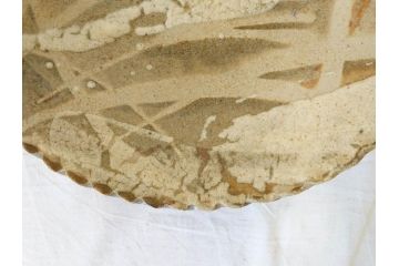 人間国宝　田村耕一　約28cm　9.3寸　深みのある色合いと繊細な絵付けが目を惹くいげ皿(イゲ縁、変形皿、大皿、和皿、和食器、九寸三分)(R-076729)