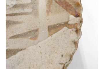 人間国宝　田村耕一　約28cm　9.3寸　深みのある色合いと繊細な絵付けが目を惹くいげ皿(イゲ縁、変形皿、大皿、和皿、和食器、九寸三分)(R-076729)