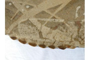 人間国宝　田村耕一　約28cm　9.3寸　深みのある色合いと繊細な絵付けが目を惹くいげ皿(イゲ縁、変形皿、大皿、和皿、和食器、九寸三分)(R-076729)