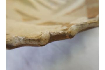 人間国宝　田村耕一　約28cm　9.3寸　深みのある色合いと繊細な絵付けが目を惹くいげ皿(イゲ縁、変形皿、大皿、和皿、和食器、九寸三分)(R-076729)