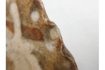 人間国宝　田村耕一　約28cm　9.3寸　深みのある色合いと繊細な絵付けが目を惹くいげ皿(イゲ縁、変形皿、大皿、和皿、和食器、九寸三分)(R-076729)