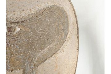 人間国宝　田村耕一　約28cm　9寸　個性的なデザインが存在感を放つ角皿(大皿、和皿、和食器、共箱付き、九寸)(R-076731)