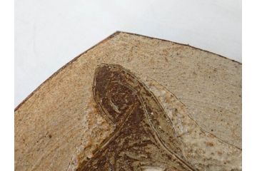 人間国宝　田村耕一　約28cm　9寸　個性的なデザインが存在感を放つ角皿(大皿、和皿、和食器、共箱付き、九寸)(R-076731)