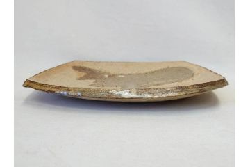 人間国宝　田村耕一　約28cm　9寸　個性的なデザインが存在感を放つ角皿(大皿、和皿、和食器、共箱付き、九寸)(R-076731)