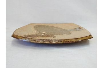 人間国宝　田村耕一　約28cm　9寸　個性的なデザインが存在感を放つ角皿(大皿、和皿、和食器、共箱付き、九寸)(R-076731)