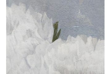 真作　山下邦雄　「牡丹」　6F(6号)　日本画(ぼたん、花、共シール、絵画、額装、箱付き)(R-076743)