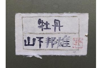 真作　山下邦雄　「牡丹」　6F(6号)　日本画(ぼたん、花、共シール、絵画、額装、箱付き)(R-076743)