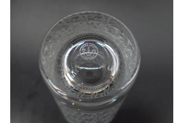 フランス　Baccarat　バカラ　ローハン　ハーモニー　高貴でエレガントなデザインが美しいグラス2客セット(ハイボール、フルレッドクリスタルガラス、コップ)(R-076760)
