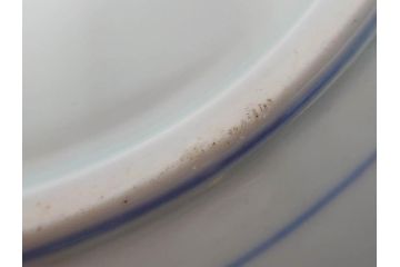 大正〜昭和初期　伊万里　色絵　猪に僮乗るの図　豚　花園　約23cm　7.5寸　繊細な図柄と色淡いが素敵な中皿(和皿、和食器、七寸五分)(R-076761)