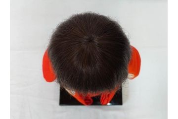 工房朋　春幸作　ガラスケース付き　ほっこりとした可愛らしさのある市松人形(古布、着物、子供、子ども、女の子、着せ替え人形)(R-076781)