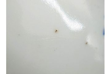 江戸期　染付　約38cm　1尺2寸　繊細な線描きが美しい深鉢(大鉢、和皿、和食器、一尺二寸)(R-076790)