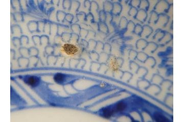 江戸後期　古伊万里　成化年製　微塵唐草文染付　約15cm　5寸　繊細な線描きが見事ななます皿5枚セット(みじんからくさ、中皿、和皿、和食器、五寸)(R-076810)
