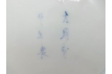 江戸後期　古伊万里　大明成化年製　微塵唐草文染付　約18cm　6寸　繊細な線描きが見事な中皿3枚セット(みじんからくさ、和皿、和食器、六寸)(R-076811)