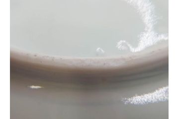 江戸後期　古伊万里　大明成化年製　微塵唐草文染付　約18cm　6寸　繊細な線描きが見事な中皿3枚セット(みじんからくさ、和皿、和食器、六寸)(R-076811)