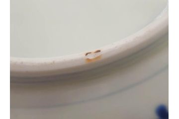 江戸後期　古伊万里　大明成化年製　微塵唐草文染付　約18cm　6寸　繊細な線描きが見事な中皿3枚セット(みじんからくさ、和皿、和食器、六寸)(R-076812)