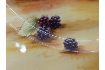 イギリス　EYNSLEY(エインズレイ)　オーチャードゴールド　約21cm　食卓を彩る華やかなプレート4枚セット(スティル・ライフ・フルーツ、洋食器、英国)(R-076814)