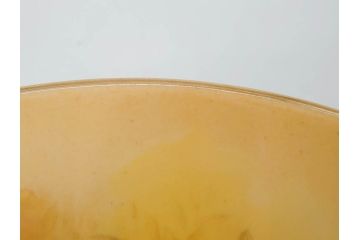 イギリス　EYNSLEY(エインズレイ)　オーチャードゴールド　約16cm　食卓を彩る華やかなプレート5枚セット(スティル・ライフ・フルーツ、洋食器、英国)(R-076815)