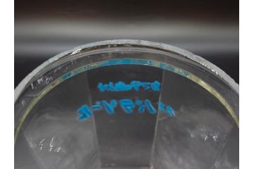 昭和レトロ　カマダの虫よけネオパラゾールの文字入り　レトロなディスプレイが叶う古い八角ガラス瓶(キャニスター、ガラスビン、硝子、フタ付き、小物入れ、ディスプレイ雑貨、古道具、店舗什器)(R-076860)