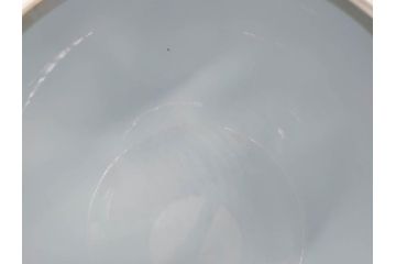 ハミングバード&チューリップ　置くだけで絵になる可愛らしいホーローケトル(やかん、琺瑯、ティーケトル、ハチドリ、青い鳥、花、キッチン雑貨、Tulips And Blue Humming Bird)(R-076863)