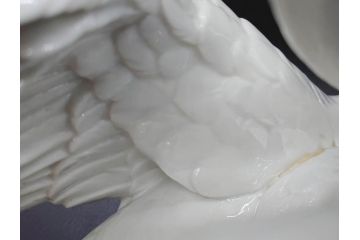 スペイン　リヤドロ　LLADRO　白鳥　フィギュリン(箱なし、陶器人形、置物、オブジェ、スワン、Swan)(R-076902)