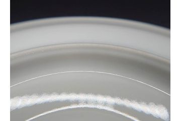 大倉陶園(OKURA、OAC)　オールド大倉　ゴールドライン　ゴールドが凛とした美しさを漂わせるティーカップ&ソーサー5客セット(C&S、洋食器、白磁、金彩)(R-076906)