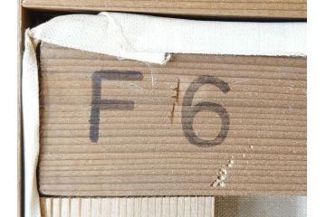 真作　若尾和呂　「大天思々息々」　油彩　F6(6号)　日本画(タリズマニックアート、絵画、人物画、女性、油絵、額装)(R-076907)