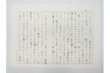 特別限定愛蔵版　開高健　「夏の闇」　原寸408枚　直筆原稿(2008年、開高記念会、直筆、二重箱付)(R-077004)