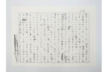 特別限定愛蔵版　開高健　「夏の闇」　原寸408枚　直筆原稿(2008年、開高記念会、直筆、二重箱付)(R-077004)